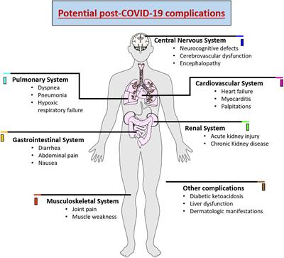 Cognitive dysfunction associated with COVID-19: Prognostic role of circulating biomarkers and microRNAs